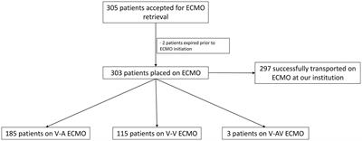 Bridging the gap: safety and outcomes of intensivist-led ECMO retrievals